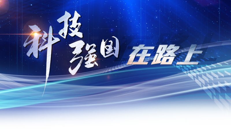 大数据分析算法：从入门到精通的路径解析
